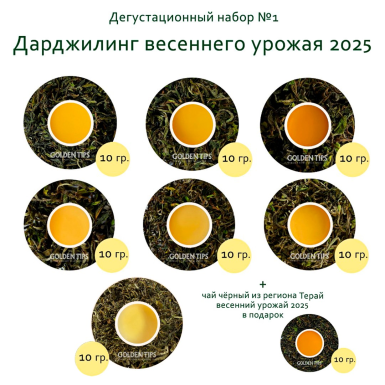 Чайный набор №1 - Весенний Дарджилинг 2025 7*10 гр. + Терай в подарок