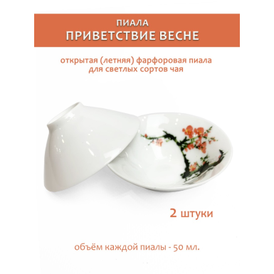 Чашка чайная (пиала) - Приветствие весне, фарфор, 50 мл., (HS 07), Китай, 2 шт.